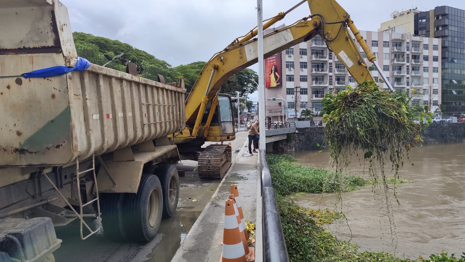 OPERAÇÃO INTEGRADA REMOVE BARONESAS DO RIO CACHOEIRA EM ITABUNA