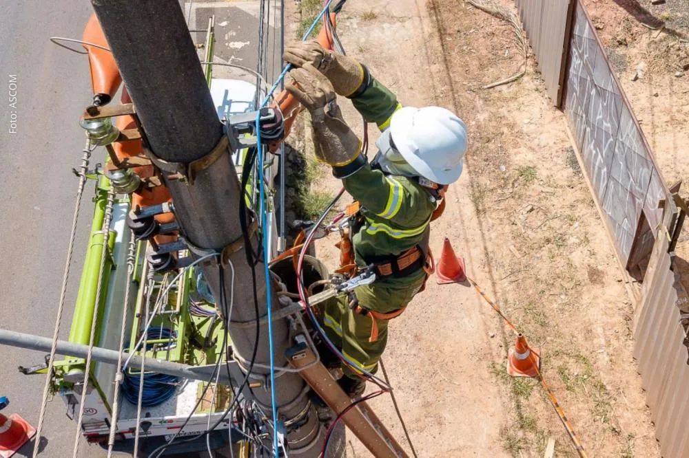 COELBA INTENSIFICA OPERAÇÃO CONTRA GATONET